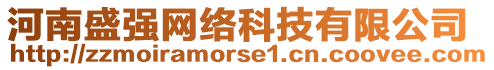 河南盛強網(wǎng)絡(luò)科技有限公司