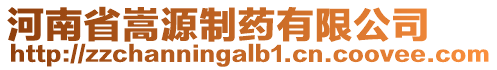 河南省嵩源制藥有限公司