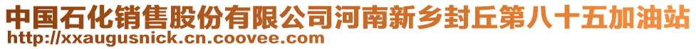 中國(guó)石化銷(xiāo)售股份有限公司河南新鄉(xiāng)封丘第八十五加油站