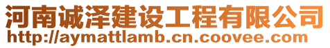河南誠澤建設(shè)工程有限公司