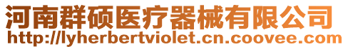 河南群碩醫(yī)療器械有限公司