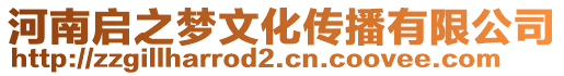 河南啟之夢(mèng)文化傳播有限公司