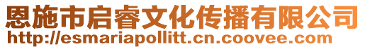 恩施市啟睿文化傳播有限公司