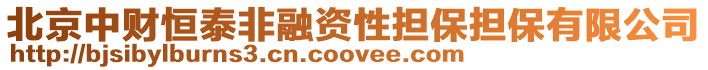北京中財(cái)恒泰非融資性擔(dān)保擔(dān)保有限公司