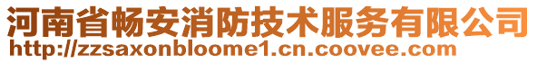 河南省暢安消防技術(shù)服務(wù)有限公司