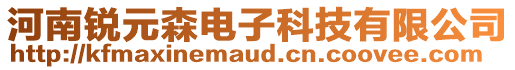 河南锐元森电子科技有限公司