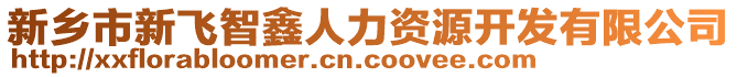 新鄉(xiāng)市新飛智鑫人力資源開發(fā)有限公司