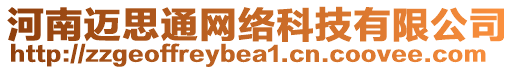 河南邁思通網絡科技有限公司