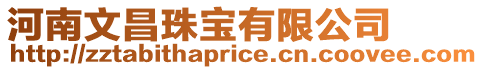 河南文昌珠寶有限公司