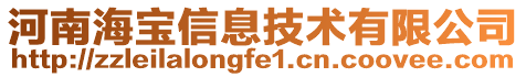 河南海宝信息技术有限公司