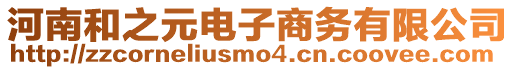 河南和之元電子商務(wù)有限公司
