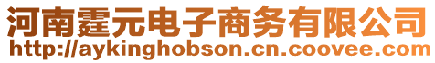 河南霆元電子商務有限公司