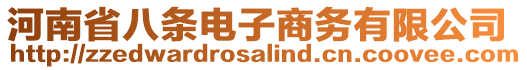 河南省八條電子商務有限公司