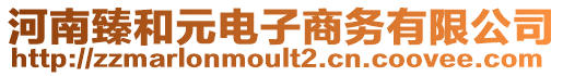 河南臻和元電子商務(wù)有限公司