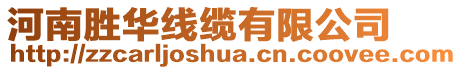 河南勝華線纜有限公司