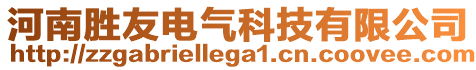 河南勝友電氣科技有限公司