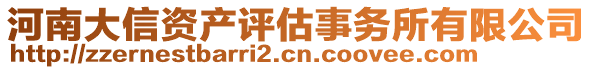 河南大信資產(chǎn)評(píng)估事務(wù)所有限公司