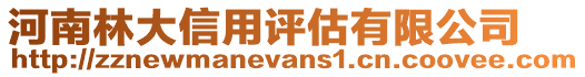 河南林大信用評估有限公司