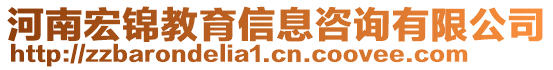 河南宏錦教育信息咨詢有限公司