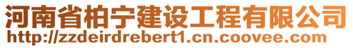 河南省柏寧建設工程有限公司