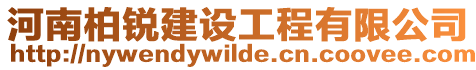 河南柏銳建設工程有限公司