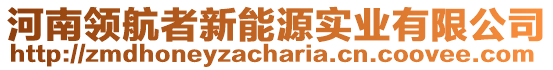 河南領(lǐng)航者新能源實(shí)業(yè)有限公司