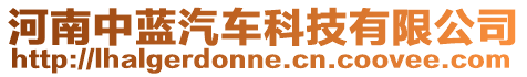 河南中藍(lán)汽車科技有限公司