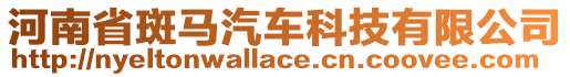 河南省斑馬汽車科技有限公司