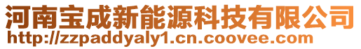 河南寶成新能源科技有限公司