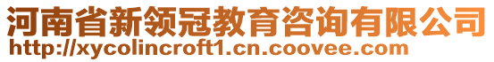 河南省新領(lǐng)冠教育咨詢有限公司