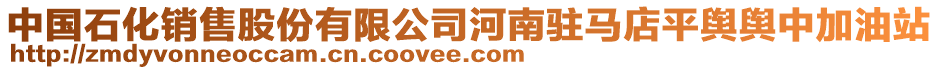 中国石化销售股份有限公司河南驻马店平舆舆中加油站