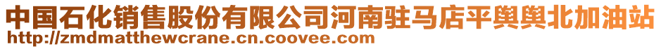 中國石化銷售股份有限公司河南駐馬店平輿輿北加油站
