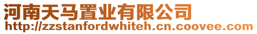 河南天馬置業(yè)有限公司