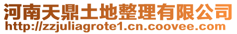 河南天鼎土地整理有限公司
