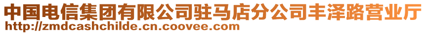 中国电信集团有限公司驻马店分公司丰泽路营业厅