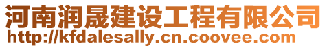 河南潤(rùn)晟建設(shè)工程有限公司
