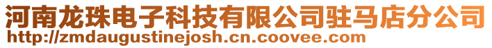 河南龍珠電子科技有限公司駐馬店分公司
