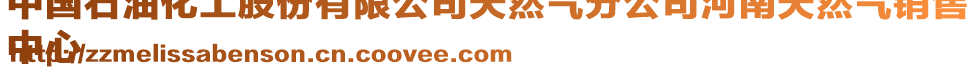 中國(guó)石油化工股份有限公司天然氣分公司河南天然氣銷(xiāo)售
中心