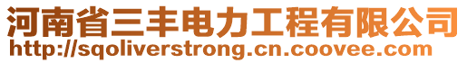 河南省三豐電力工程有限公司