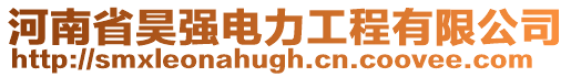 河南省昊強電力工程有限公司
