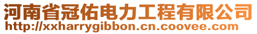 河南省冠佑電力工程有限公司