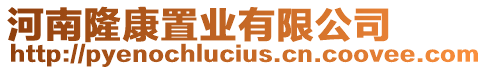 河南隆康置業有限公司