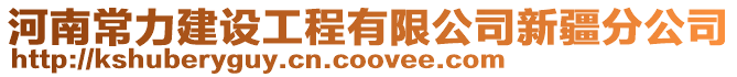 河南常力建設工程有限公司新疆分公司