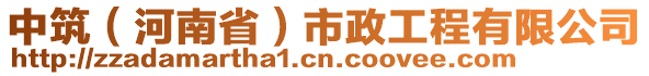 中筑（河南省）市政工程有限公司