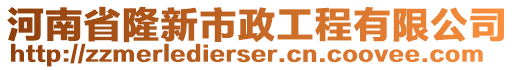 河南省隆新市政工程有限公司