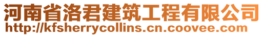 河南省洛君建筑工程有限公司