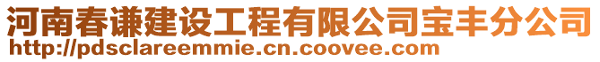 河南春謙建設(shè)工程有限公司寶豐分公司