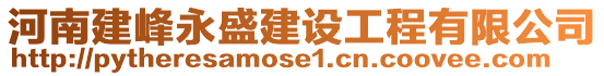 河南建峰永盛建設工程有限公司