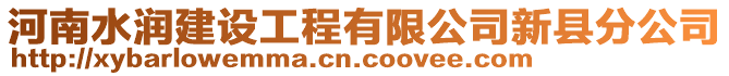 河南水潤建設工程有限公司新縣分公司
