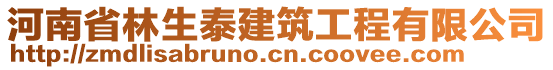 河南省林生泰建筑工程有限公司